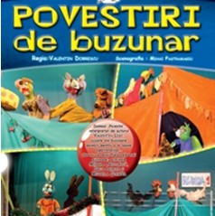 povestiri de buzunar