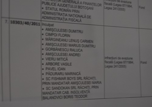 proces Amisculesei- avizier Tribunalul Botosani