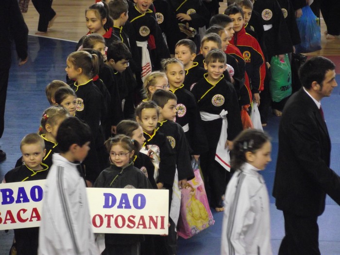 CN arte martiale Roman