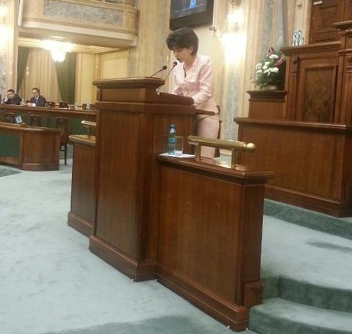 Doina Federovici in Senat