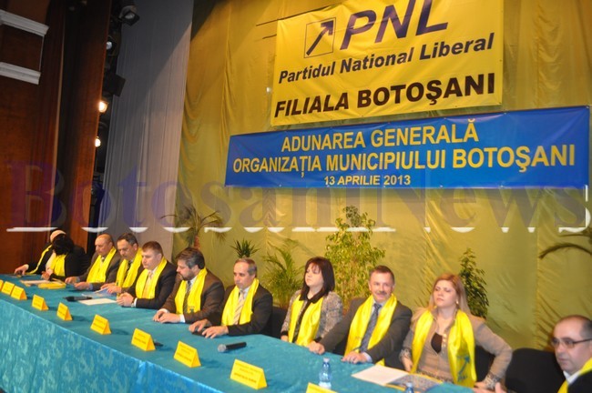 alegeri PNL Botosani