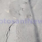 gropi drum saveni 003