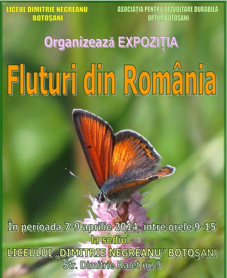 Expozitia Fluturi din Romania, organizata la Liceul Dimitrie Negreanu Botosani