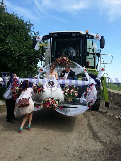 combina nunta la flamanzi