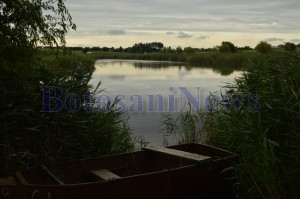 iaz victoria stauceni barca, botosani