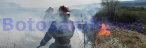incendiu vegetatie la Botosani