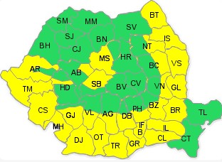 cod galben pentru botosani