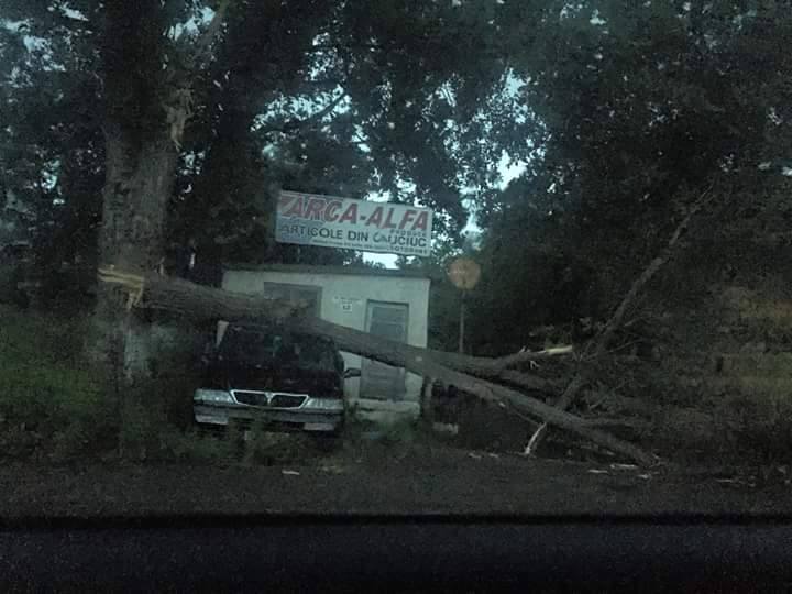 copac căzut peste o mașină pe strada Ion Creangă din municipiul Botoșani