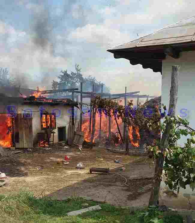 incendiu grajduri suharau botosani
