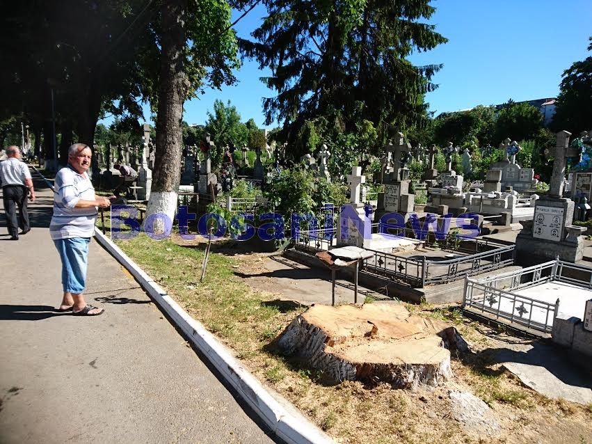 morminte distruse in Cimitirul Pacea Botosani