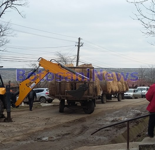 accident, stiri, botosani, todireni