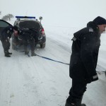 masina in decor trasa de jandarmi , stiri, botosani