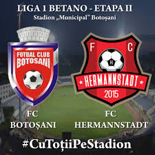 fc botosani- hermannstadt