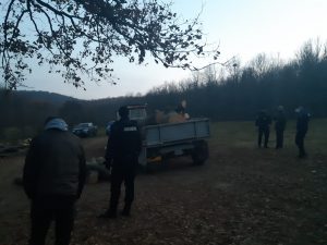 jandarmi lemne confiscate