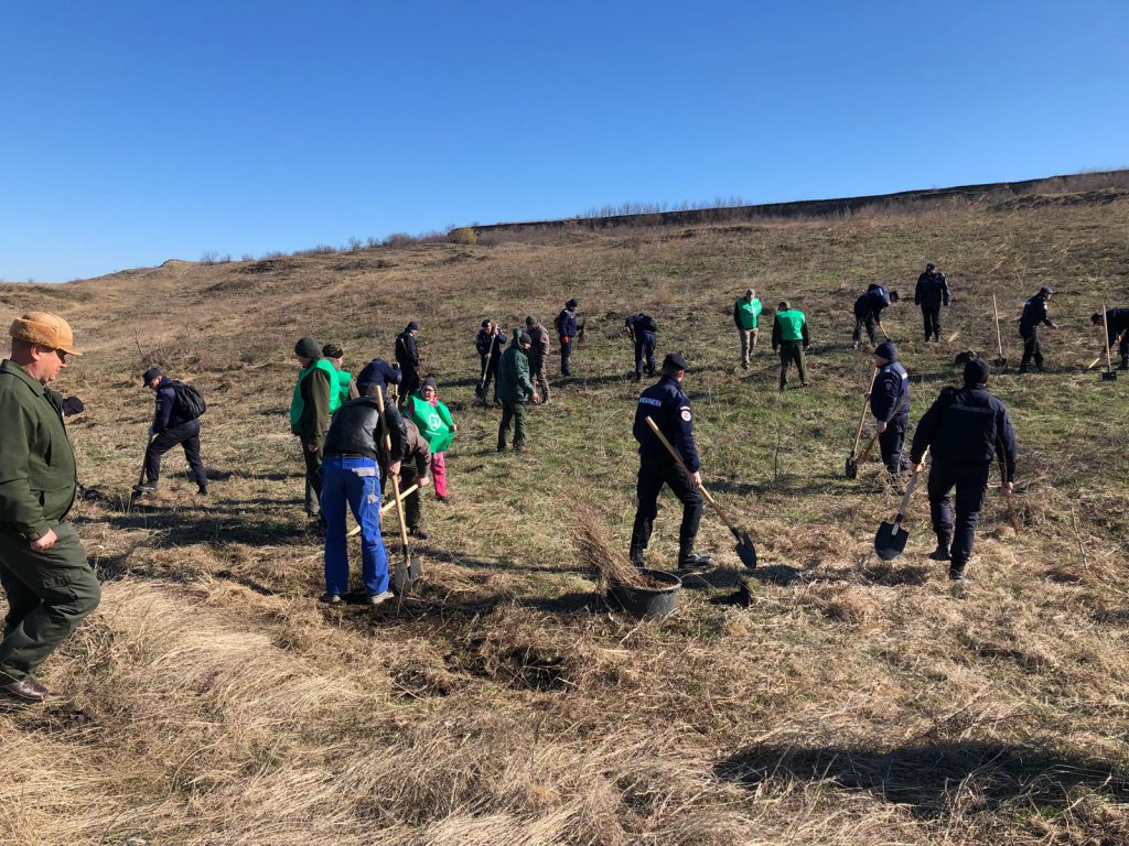 jandarmi din Botosani la o actiune de impadurire la Trusesti