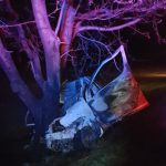 accident la trusesti - botosani