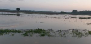inundatii pe Prut la Baranca- Hudesti din judetul Botosani (2)