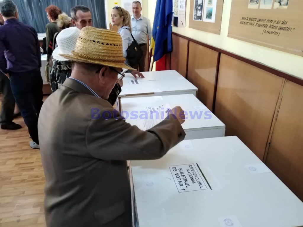 vot alegeri europarlamentare 2019 - botosani