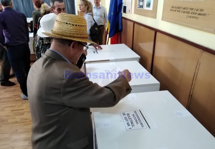 vot alegeri europarlamentare 2019 - botosani