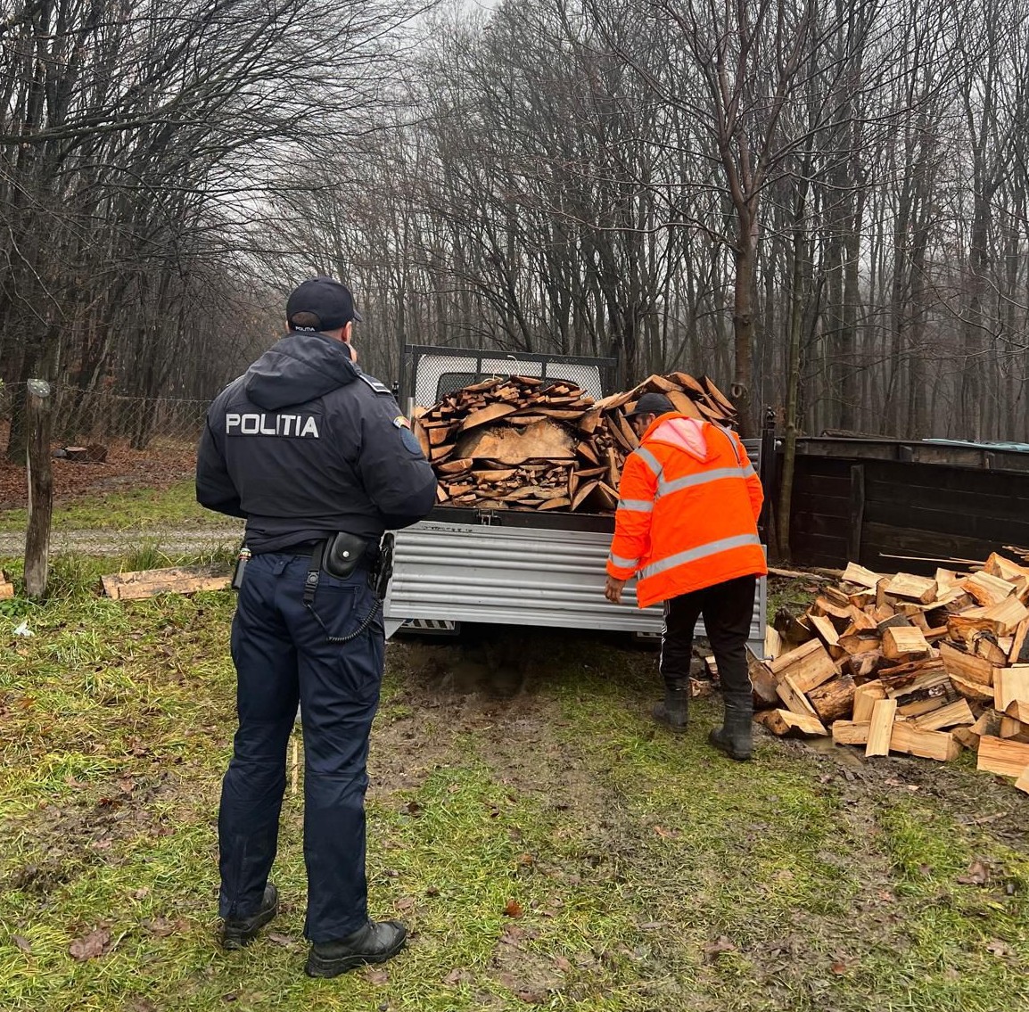 FOTO! Lemne confiscate de polițiștii botoșăneni. Șoferul a fost amendat